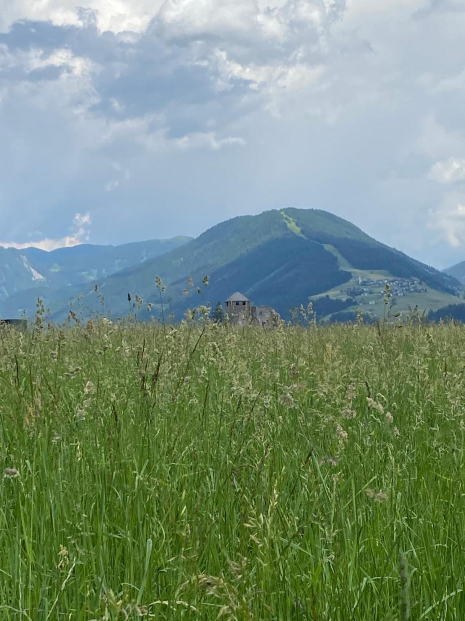 Ferienwohnungen Peisserhof Sillian Dış mekan fotoğraf