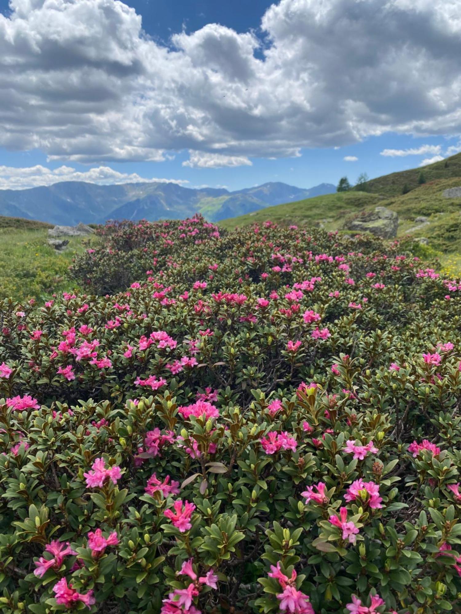 Ferienwohnungen Peisserhof Sillian Dış mekan fotoğraf